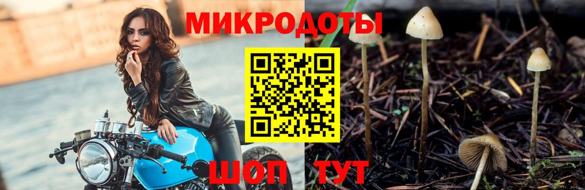 Нарткала  Галлюциногенные грибы Magic Shrooms  Галлюциногенные грибы Cubensis  купить наркоту  Вход с VPN 